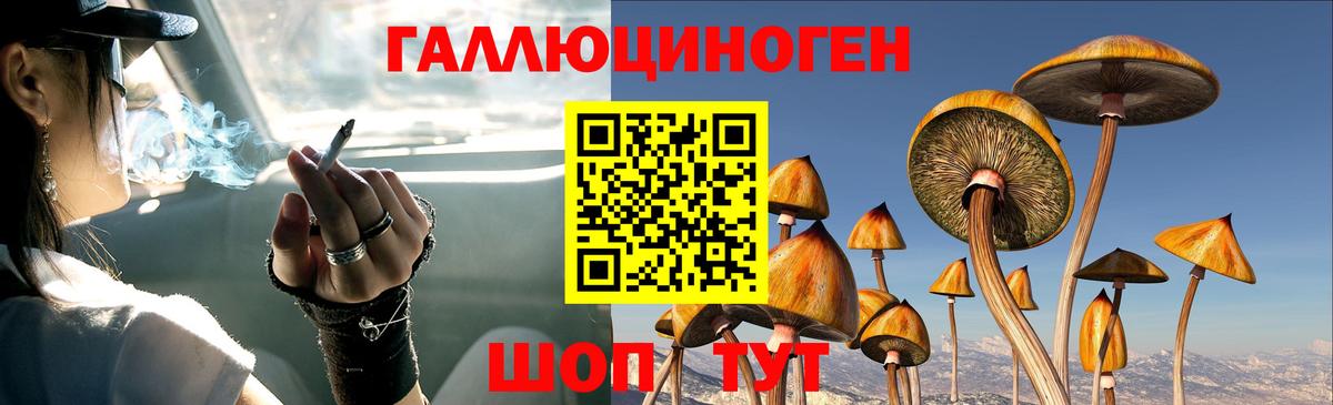 Галлюциногенные грибы MAGIC MUSHROOMS  Вход с VPN  Егорьевск  Псилоцибиновые грибы Psilocybe 
